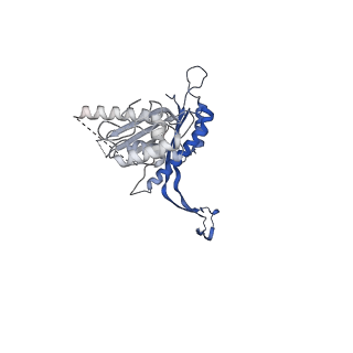 41101_8t8p_DA_v1-0
33-mer FliF MS-ring from Salmonella