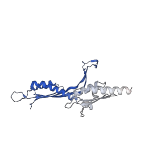 41101_8t8p_D_v1-0
33-mer FliF MS-ring from Salmonella