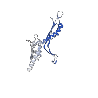 41101_8t8p_EA_v1-0
33-mer FliF MS-ring from Salmonella