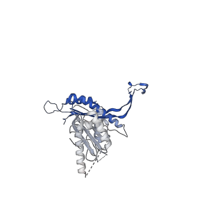 41101_8t8p_E_v1-0
33-mer FliF MS-ring from Salmonella