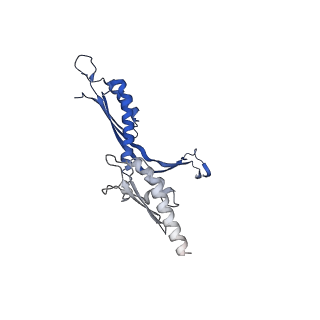 41101_8t8p_FA_v1-0
33-mer FliF MS-ring from Salmonella