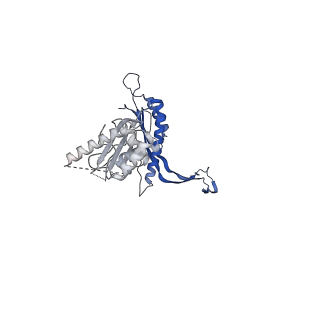 41101_8t8p_GA_v1-0
33-mer FliF MS-ring from Salmonella