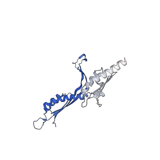 41101_8t8p_G_v1-0
33-mer FliF MS-ring from Salmonella