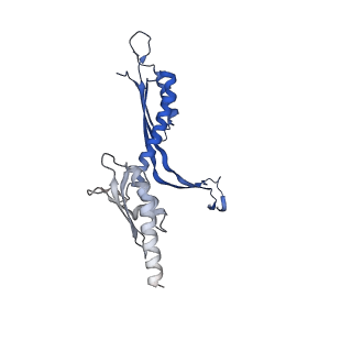 41101_8t8p_HA_v1-0
33-mer FliF MS-ring from Salmonella