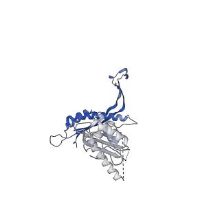 41101_8t8p_H_v1-0
33-mer FliF MS-ring from Salmonella