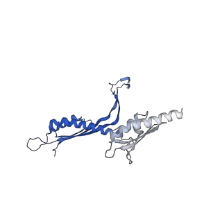 41101_8t8p_I_v1-0
33-mer FliF MS-ring from Salmonella