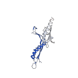 41101_8t8p_J_v1-0
33-mer FliF MS-ring from Salmonella