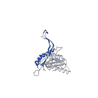 41101_8t8p_K_v1-0
33-mer FliF MS-ring from Salmonella