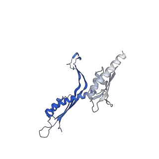 41101_8t8p_L_v1-0
33-mer FliF MS-ring from Salmonella