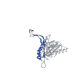 41101_8t8p_N_v1-0
33-mer FliF MS-ring from Salmonella