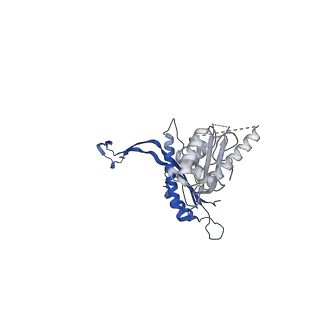 41101_8t8p_Q_v1-0
33-mer FliF MS-ring from Salmonella