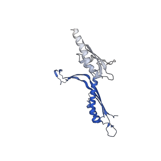 41101_8t8p_R_v1-0
33-mer FliF MS-ring from Salmonella