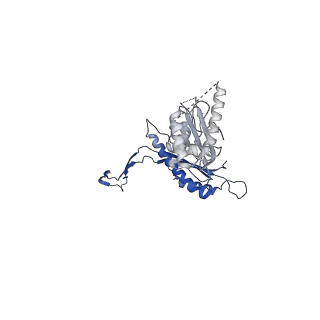 41101_8t8p_T_v1-0
33-mer FliF MS-ring from Salmonella