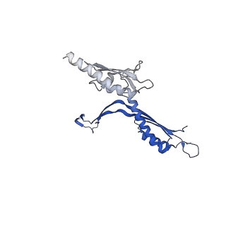 41101_8t8p_V_v1-0
33-mer FliF MS-ring from Salmonella