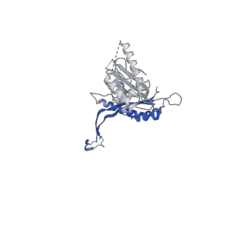 41101_8t8p_X_v1-0
33-mer FliF MS-ring from Salmonella