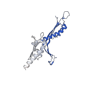 41101_8t8p_Z_v1-0
33-mer FliF MS-ring from Salmonella