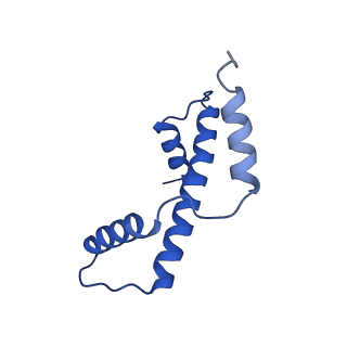 10406_6t90_A_v1-2
OCT4-SOX2-bound nucleosome - SHL-6