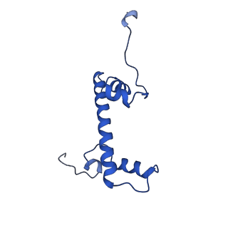 10406_6t90_C_v1-2
OCT4-SOX2-bound nucleosome - SHL-6