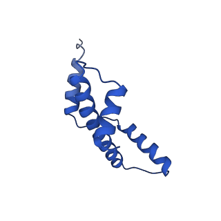 10406_6t90_E_v1-2
OCT4-SOX2-bound nucleosome - SHL-6