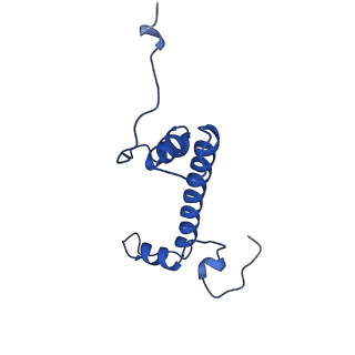 10406_6t90_G_v1-2
OCT4-SOX2-bound nucleosome - SHL-6