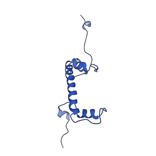 10408_6t93_C_v1-2
Nucleosome with OCT4-SOX2 motif at SHL-6