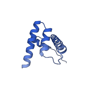 10408_6t93_D_v1-2
Nucleosome with OCT4-SOX2 motif at SHL-6