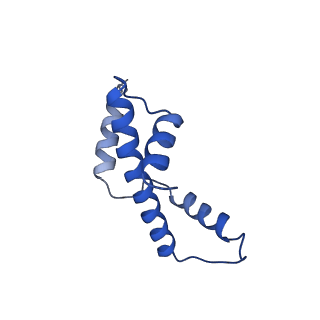 10408_6t93_E_v1-2
Nucleosome with OCT4-SOX2 motif at SHL-6