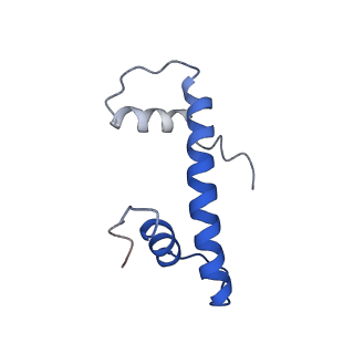 10408_6t93_F_v1-2
Nucleosome with OCT4-SOX2 motif at SHL-6