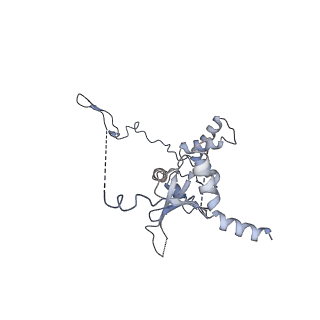 10412_6t9i_B_v1-1
cryo-EM structure of transcription coactivator SAGA