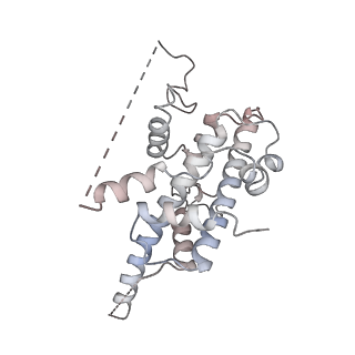 10412_6t9i_C_v1-1
cryo-EM structure of transcription coactivator SAGA