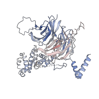 10412_6t9i_D_v1-1
cryo-EM structure of transcription coactivator SAGA