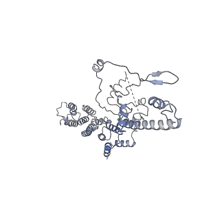 10412_6t9i_E_v1-1
cryo-EM structure of transcription coactivator SAGA