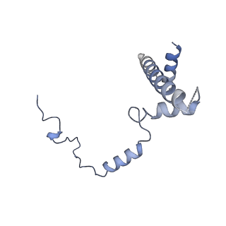 10412_6t9i_F_v1-1
cryo-EM structure of transcription coactivator SAGA