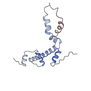 10412_6t9i_G_v1-1
cryo-EM structure of transcription coactivator SAGA