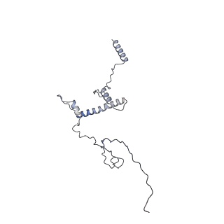 10412_6t9i_I_v1-1
cryo-EM structure of transcription coactivator SAGA
