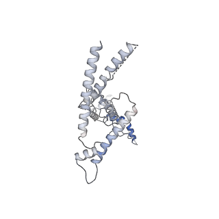 10412_6t9i_K_v1-1
cryo-EM structure of transcription coactivator SAGA