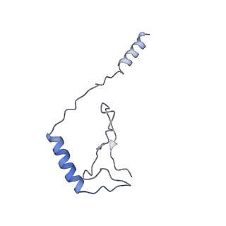 10412_6t9i_Q_v1-1
cryo-EM structure of transcription coactivator SAGA