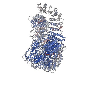10412_6t9i_T_v1-1
cryo-EM structure of transcription coactivator SAGA