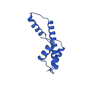 10415_6t9l_A_v1-1
SAGA DUB module bound to a ubiqitinated nucleosome