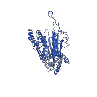 10418_6t9n_B_v1-2
CryoEM structure of human polycystin-2/PKD2 in UDM supplemented with PI(4,5)P2