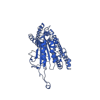 10418_6t9n_D_v1-2
CryoEM structure of human polycystin-2/PKD2 in UDM supplemented with PI(4,5)P2