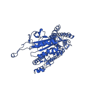 10419_6t9o_A_v1-2
CryoEM structure of human polycystin-2/PKD2 in UDM supplemented with PI(3,5)P2