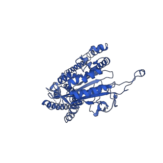 10419_6t9o_C_v1-2
CryoEM structure of human polycystin-2/PKD2 in UDM supplemented with PI(3,5)P2