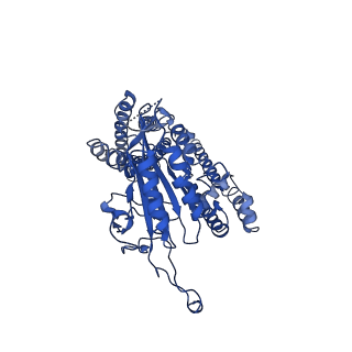 10419_6t9o_D_v1-2
CryoEM structure of human polycystin-2/PKD2 in UDM supplemented with PI(3,5)P2