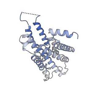 25749_7t90_A_v1-1
Cryo-EM structure of ACh-bound M2R-Go signaling complex in S2 state