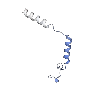 25749_7t90_D_v1-1
Cryo-EM structure of ACh-bound M2R-Go signaling complex in S2 state