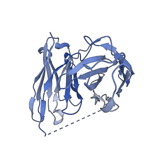 25749_7t90_E_v1-1
Cryo-EM structure of ACh-bound M2R-Go signaling complex in S2 state