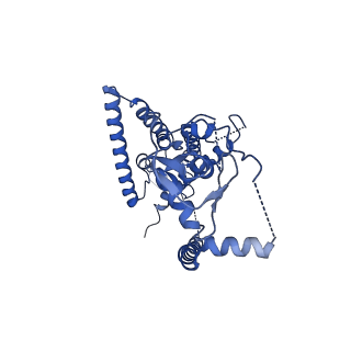25750_7t92_A_v1-2
Structure of the peroxisomal retro-translocon formed by a heterotrimeric ubiquitin ligase complex