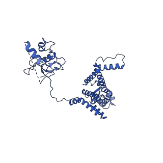 25750_7t92_B_v1-2
Structure of the peroxisomal retro-translocon formed by a heterotrimeric ubiquitin ligase complex