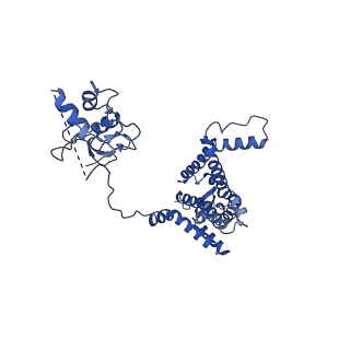 25750_7t92_B_v1-3
Structure of the peroxisomal retro-translocon formed by a heterotrimeric ubiquitin ligase complex